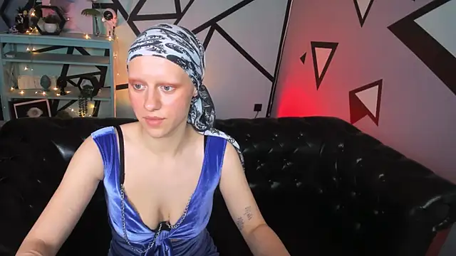 LidaDarknet webcam
