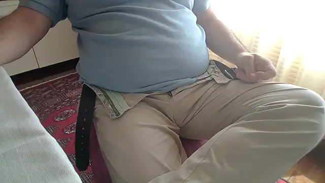 polloiw webcam