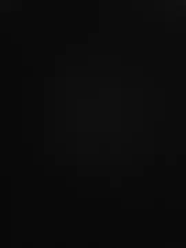 Nes---77 webcam