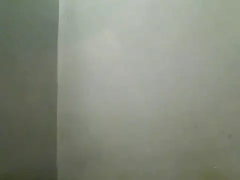 Foxboy65 webcam