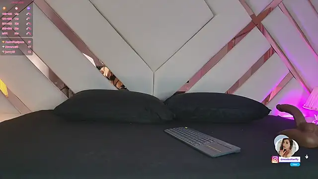 Noa_butterfly_ webcam