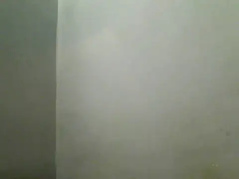 Foxboy65 webcam