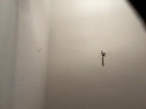 crisfootlicker webcam