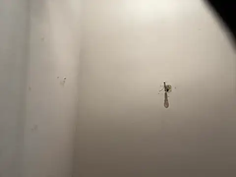 crisfootlicker webcam