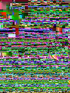 Alimela Live Web Cam Show