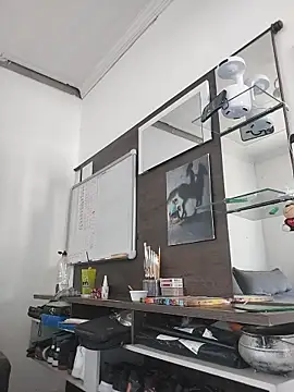 Gasc_1992 webcam