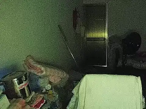 RebelAura webcam