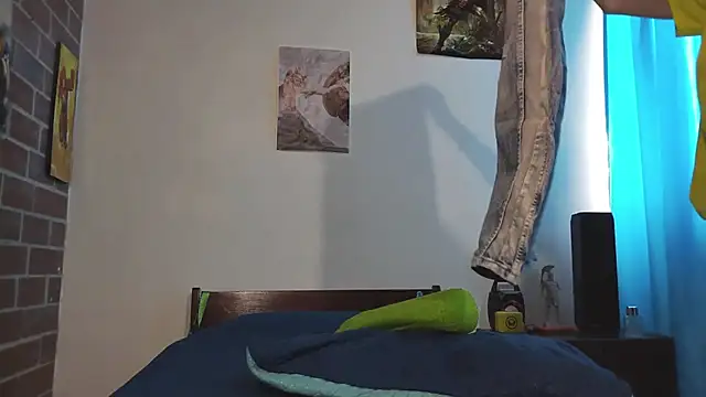 PaulDamico webcam