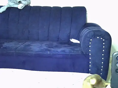 Slim_camilla webcam