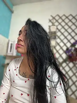 SALOME_KORLAND webcam