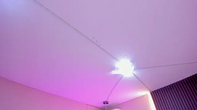 has_meow webcam