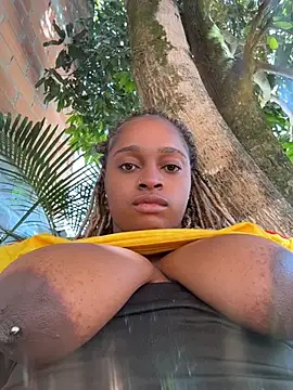 darle_volant webcam