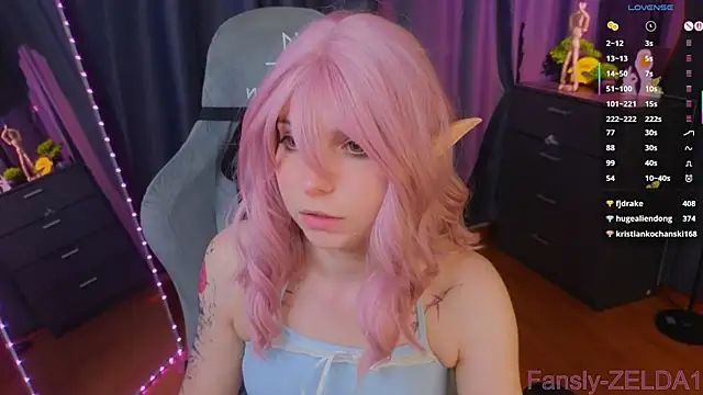 zelda_1 webcam