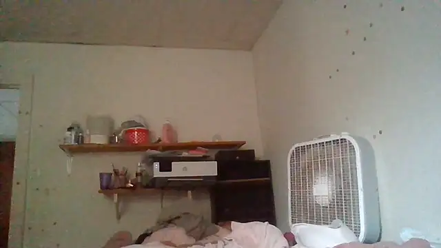starlight1983 webcam