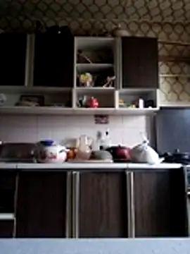 Pokaz2020 webcam