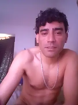 wa379 webcam