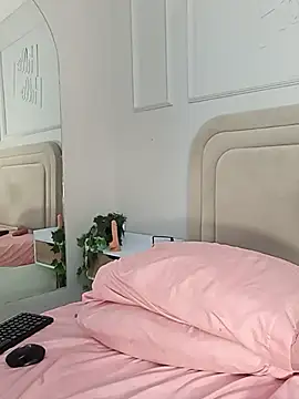Liastarkk webcam
