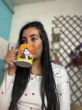 SALOME_KORLAND webcam