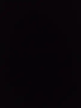 S_C1 webcam