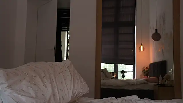 ibiddi webcam