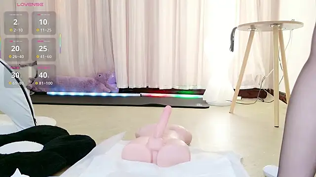 BoxedGyre- webcam