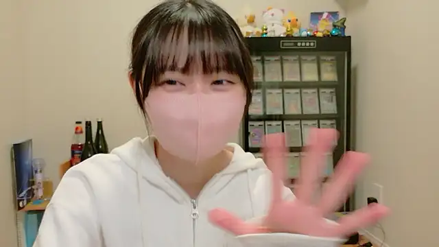 HIKARI_x0 webcam