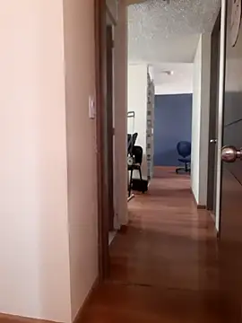 Morchis_esmeralda