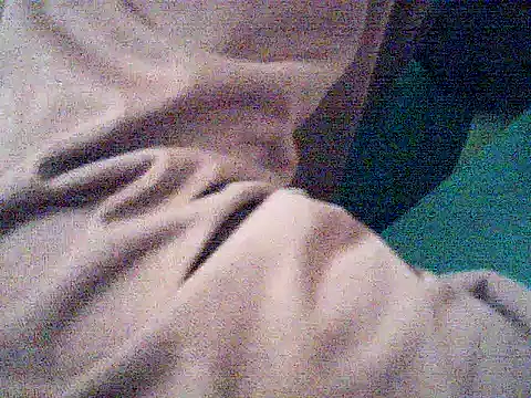 Kunbet live cam on StripChat