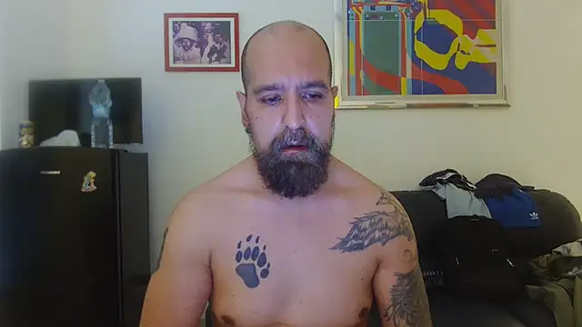 AMIRDIB2025 live cam on StripChat