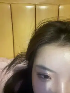 Rabbit-15 webcam