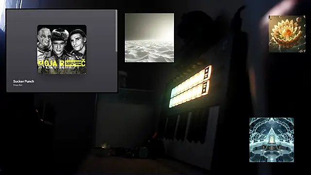 Sully_Kane webcam