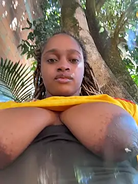 darle_volant webcam