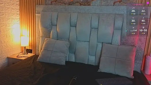 miaroldan webcam