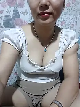 IORio2x webcam