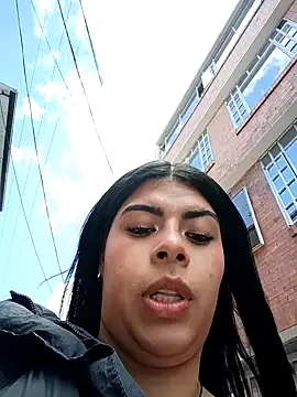 SOFIA-11_ webcam