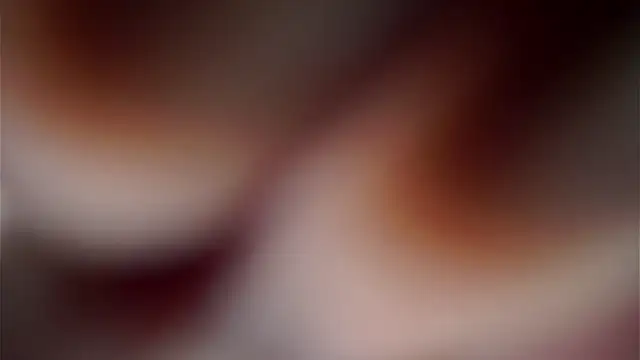 PearleKalmen webcam