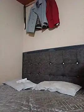 Earnthis webcam