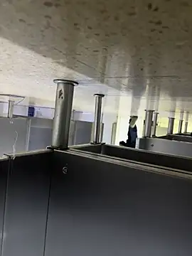 falconandrew webcam