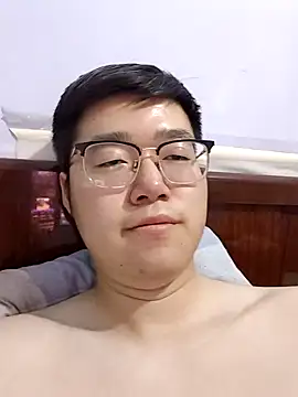 gscdc265 webcam