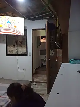 dennyselaine webcam