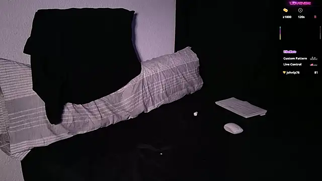 mrj99219 webcam