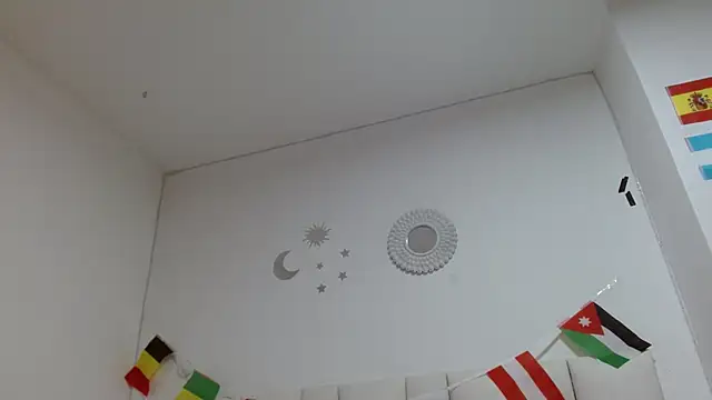 michel_rous_ webcam