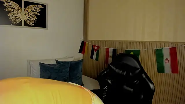 summer_night_ webcam