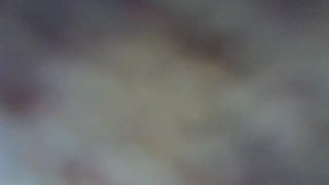 nicolesbiggy webcam