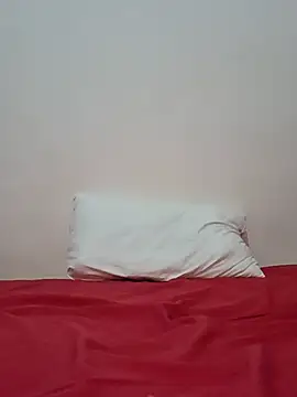 altinya webcam