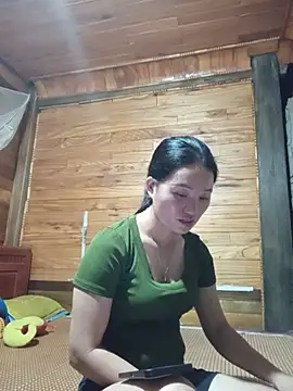 Td3di webcam