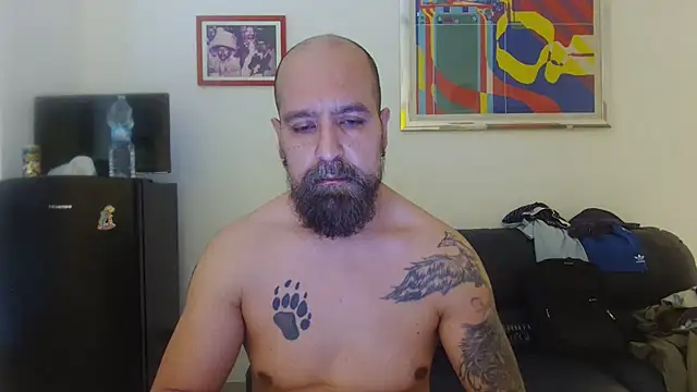AMIRDIB2025 webcam