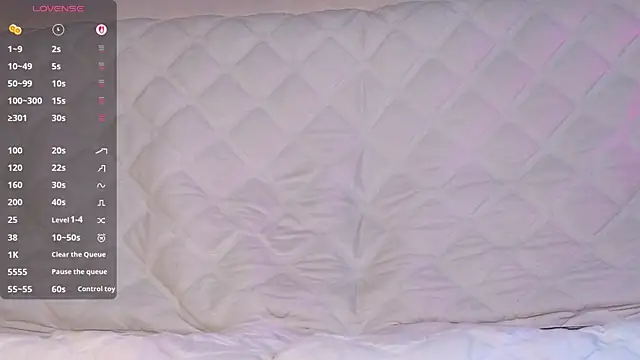 Ellijoys webcam
