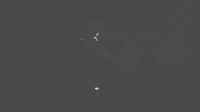 CattsyCatt webcam