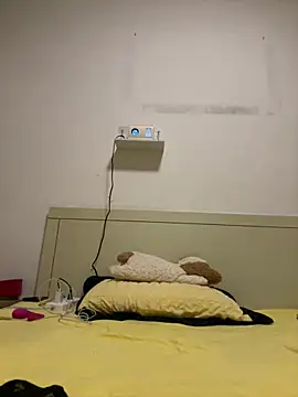 CCUU-CC webcam